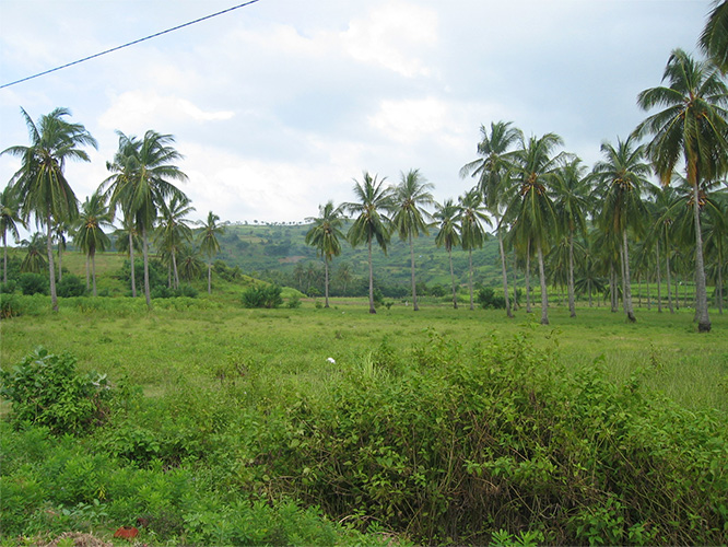 インドネシア・ロンボク島の風景