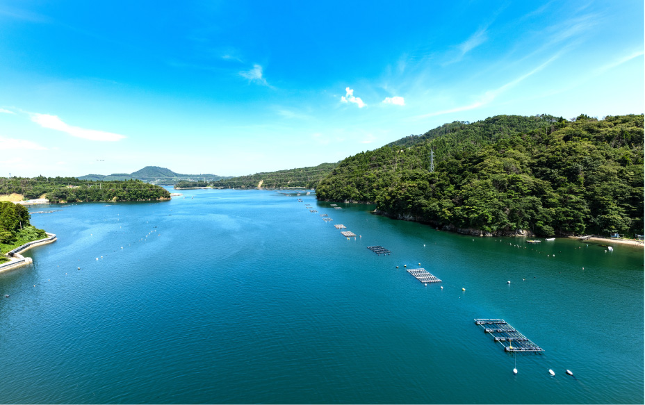 愛媛県宇和島市の真珠養殖場